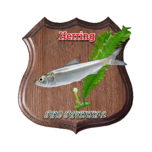 Medaļa